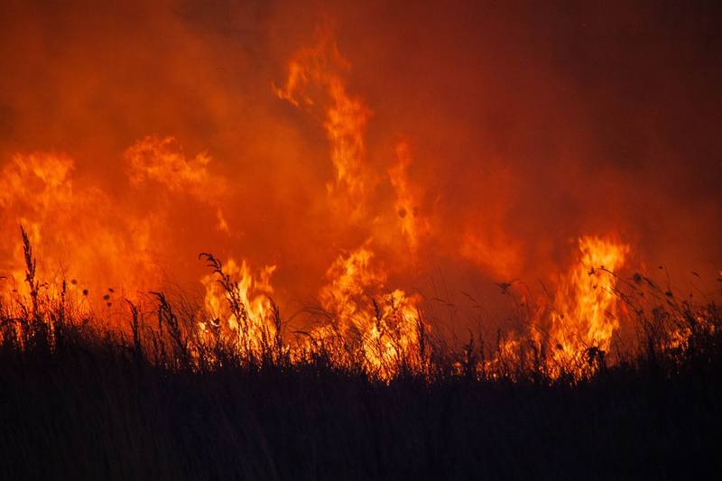 Lebanese rescuers accuse Israel of deliberately setting wildfires