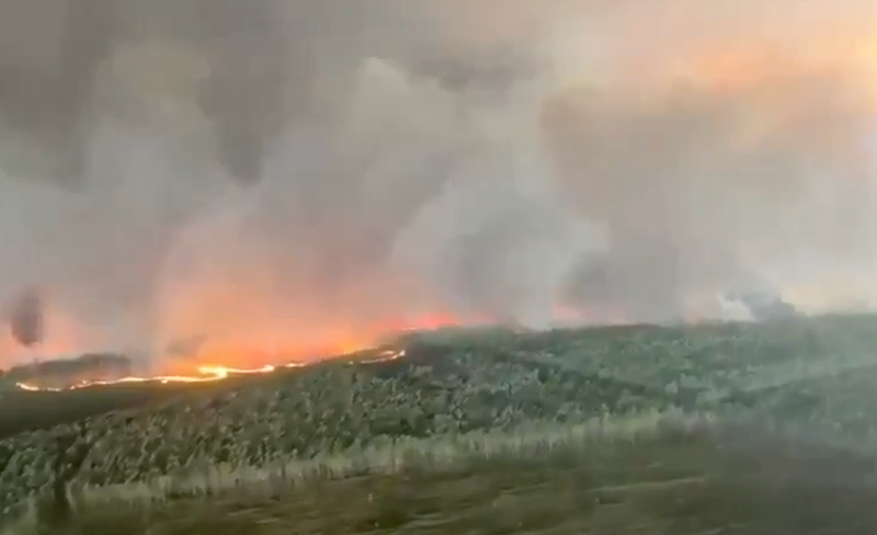 VIDEO: France's wildfires create rare thunderstorm cloud, spark new fires